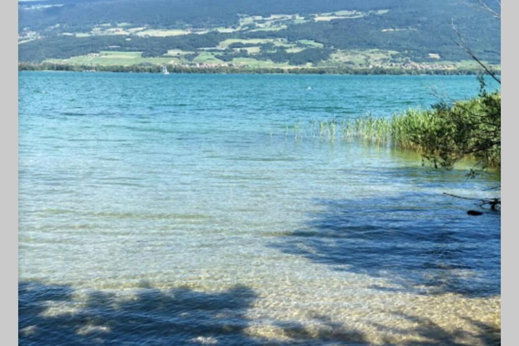 Appartement 1 pièce entresol 30 m2 proche du centre et bain thermal Yverdon-les-Bains Esterno foto